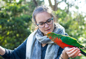 8-1. 7 Ways to Use Positive Reinforcement in Bird Training